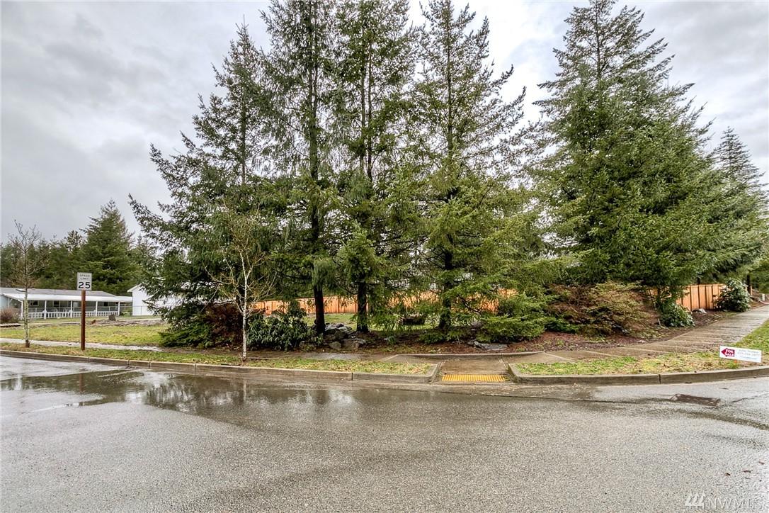 0 Eagles Nest Place - Photo 1