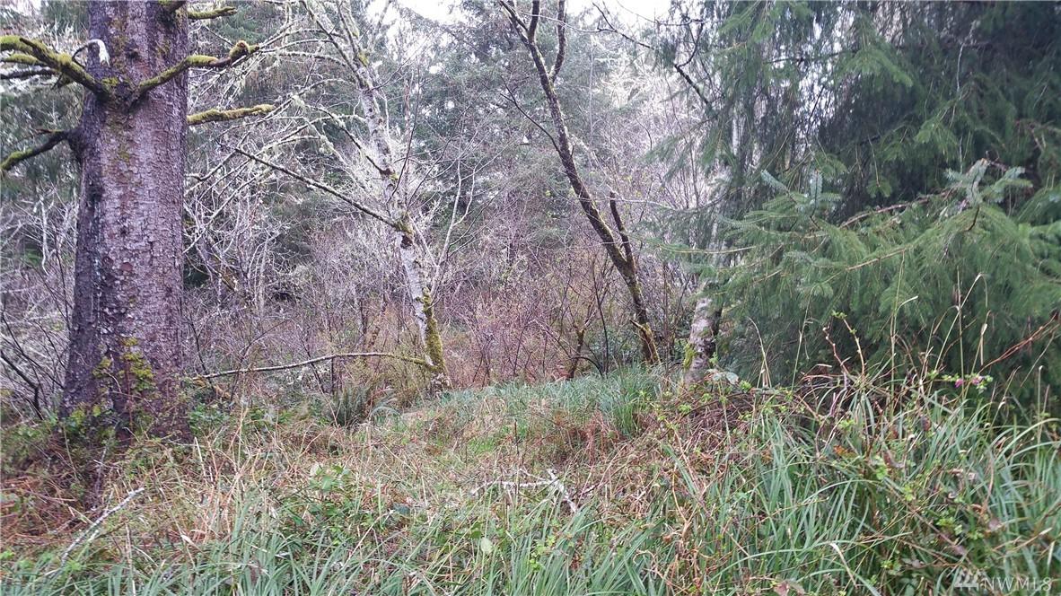 14 Douglas Drive - Photo 1