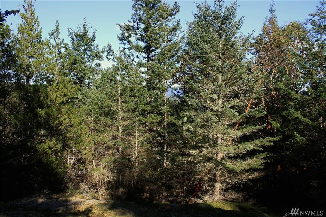 0 Harborview Lane - Photo 1