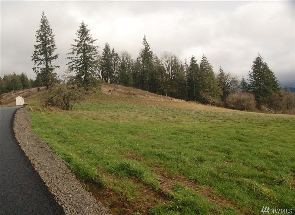 0 Witherbee Lot 5 Rd - Photo 1