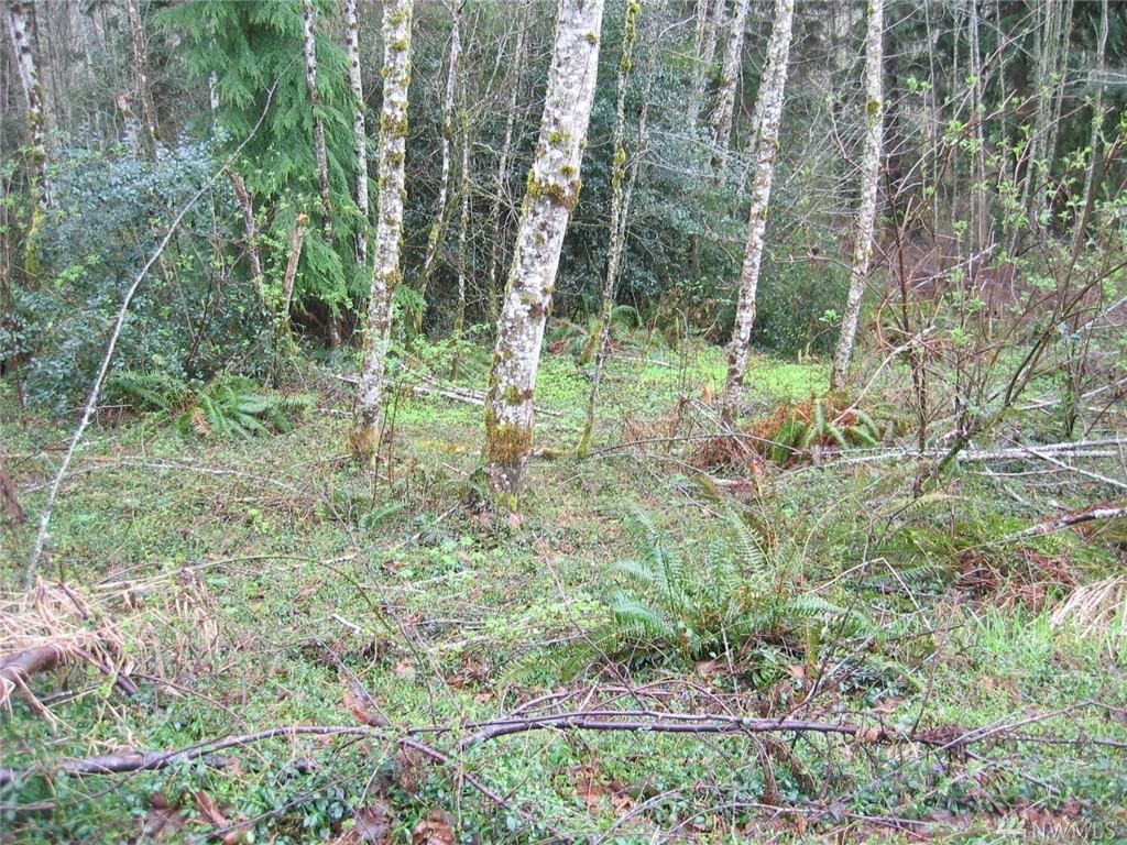 0-Lot 4 Greenwood Rd - Photo 1