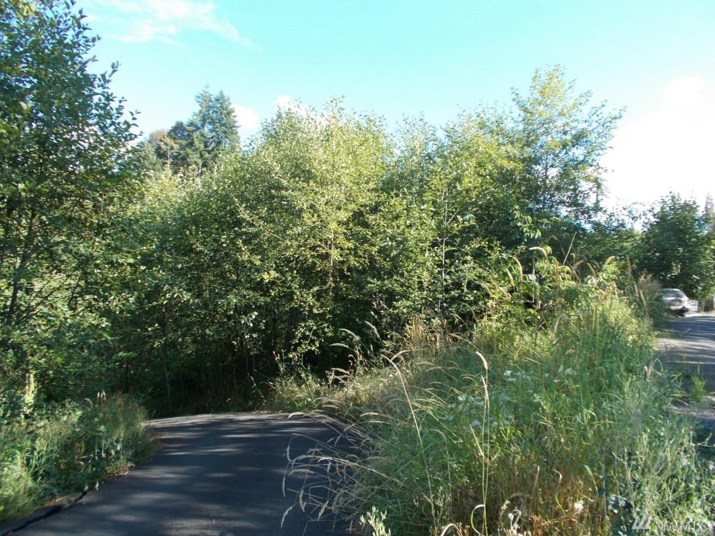 0 Tanglewood Dr - Photo 1