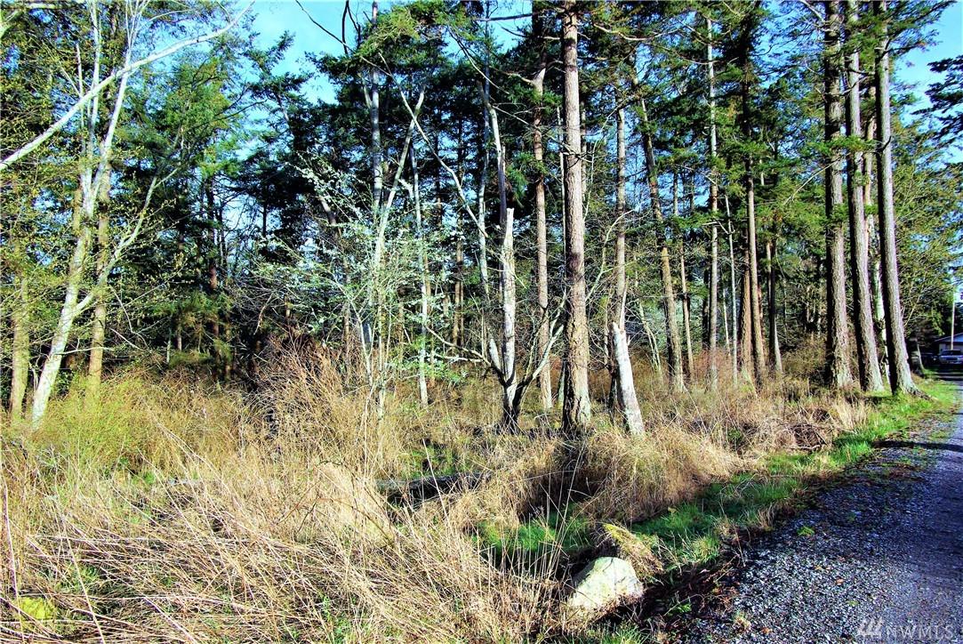0 Crescent Beach Dr - Photo 1