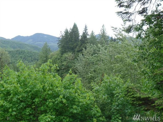 11064 Whistler Lane - Photo 1