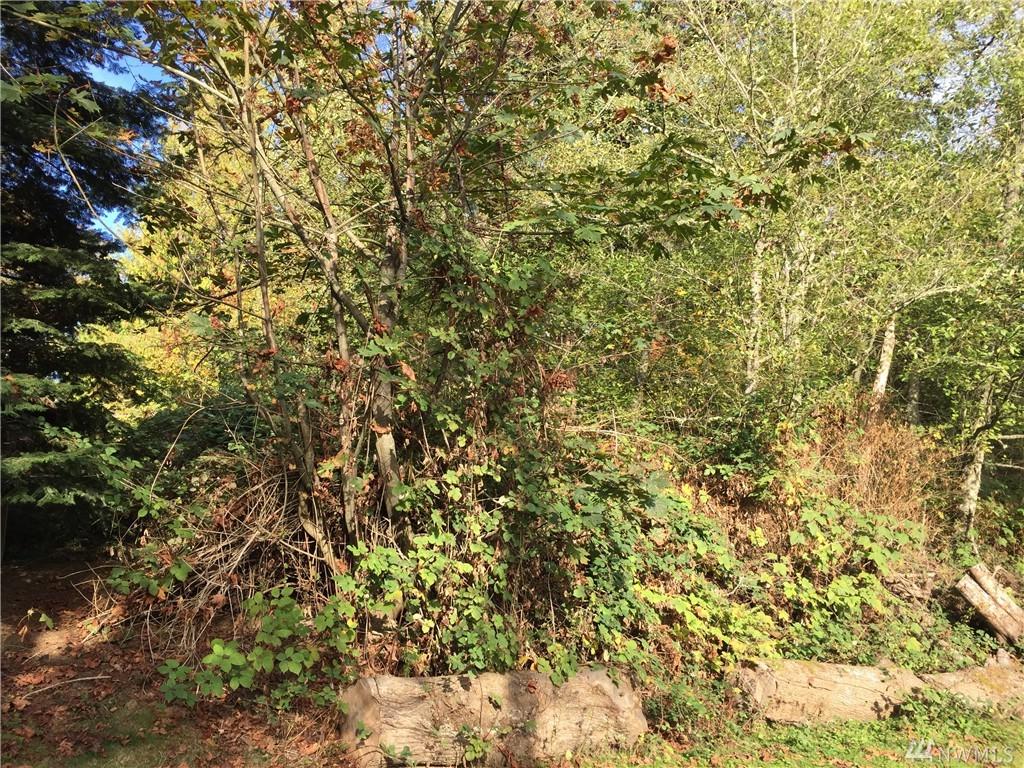 93-F Tulalip Wy - Photo 1