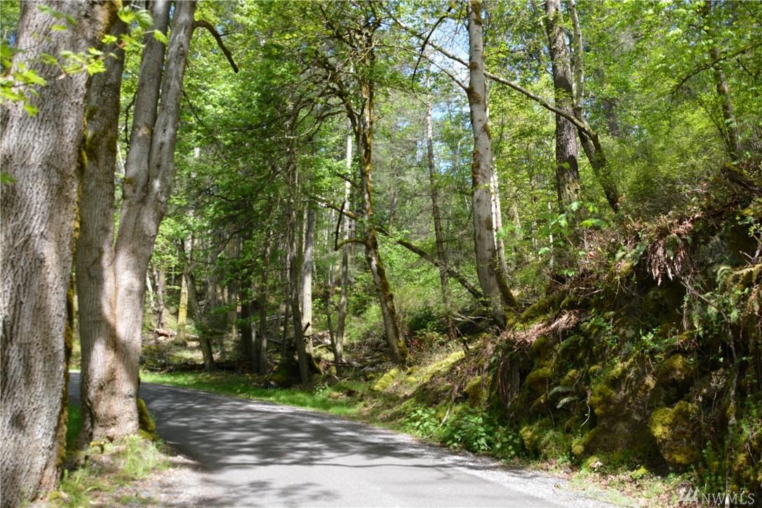 0 0 Guthrie Cove Rd - Photo 1