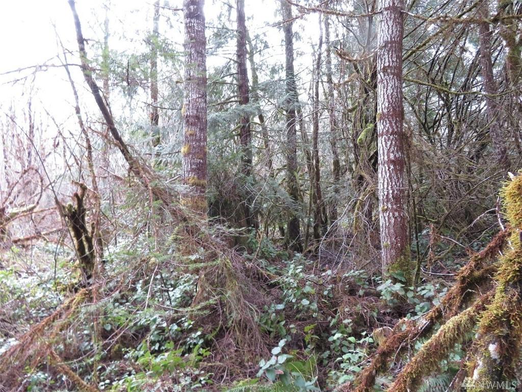 0-XXX Centralia Alpha Rd - Photo 1