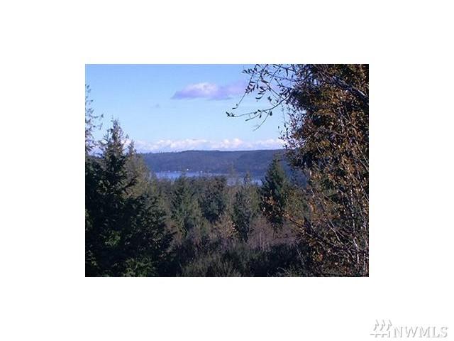 0 Tr3 Peregrine Lane - Photo 1