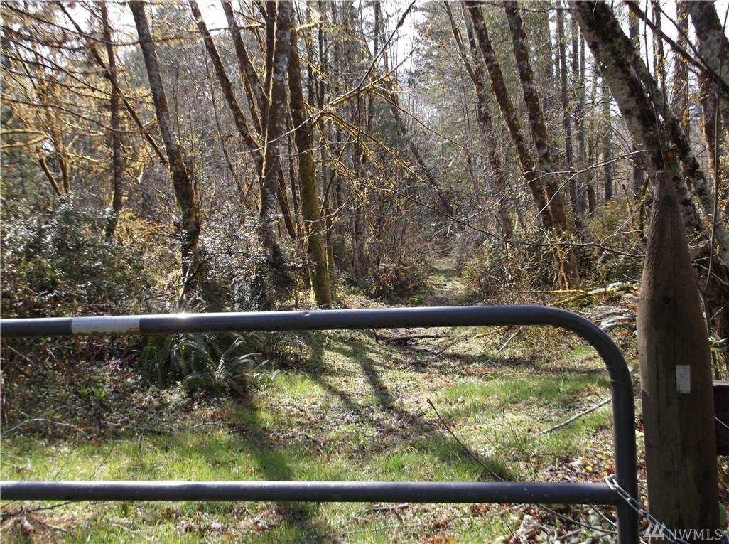 10-Acres Off Thomas Rd - Photo 1