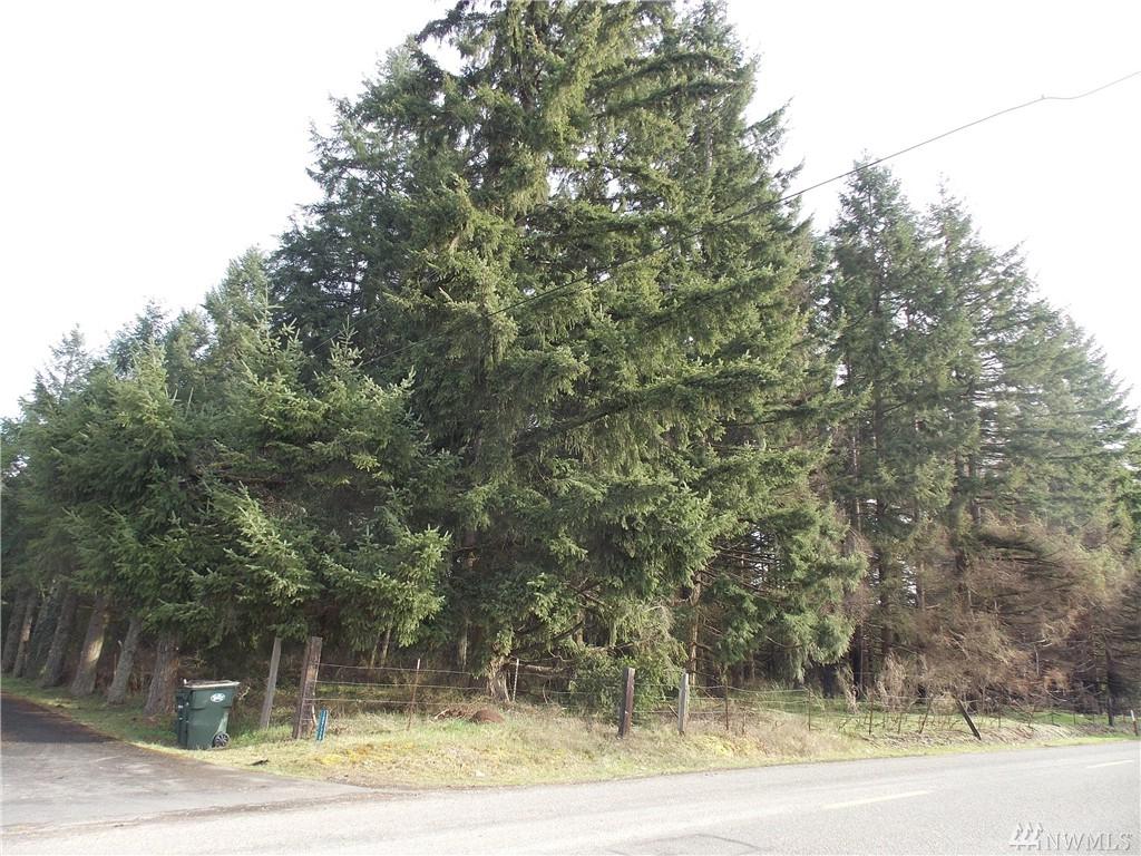 0 Mill Rd - Photo 1
