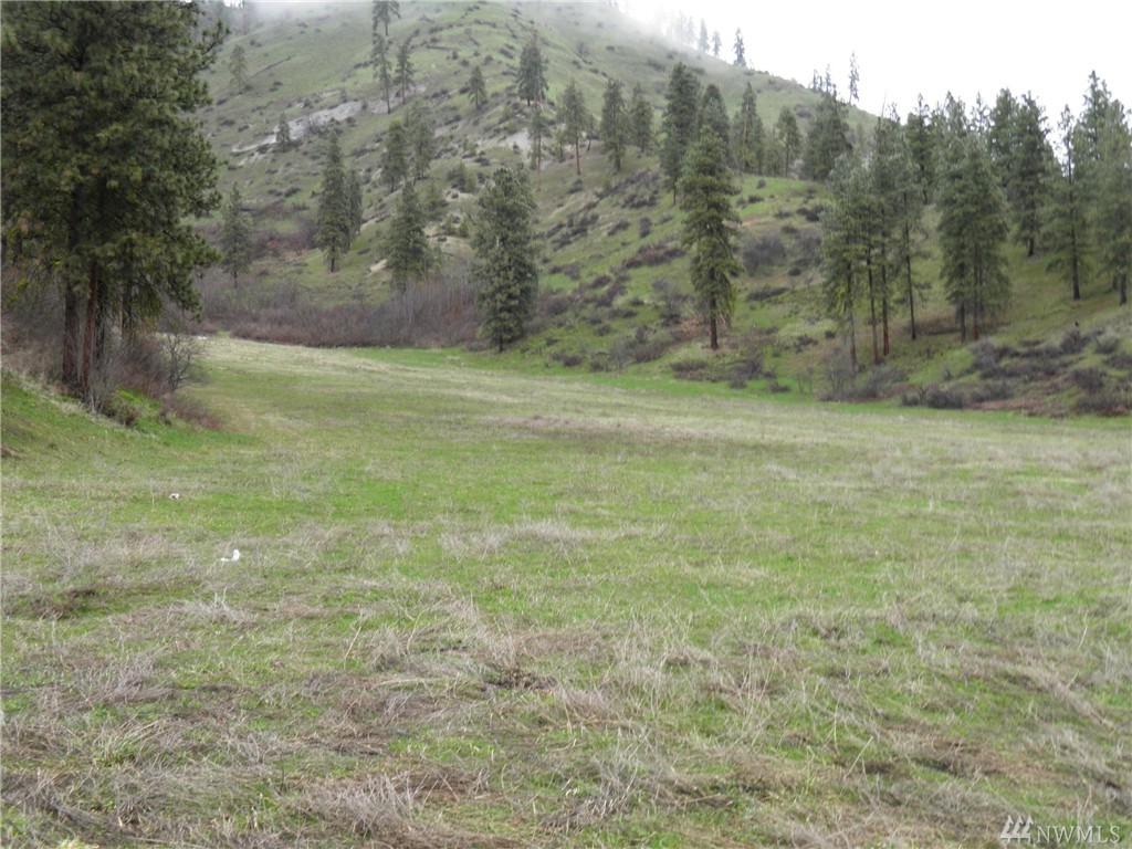 67 Karl Downs Rd - Photo 1