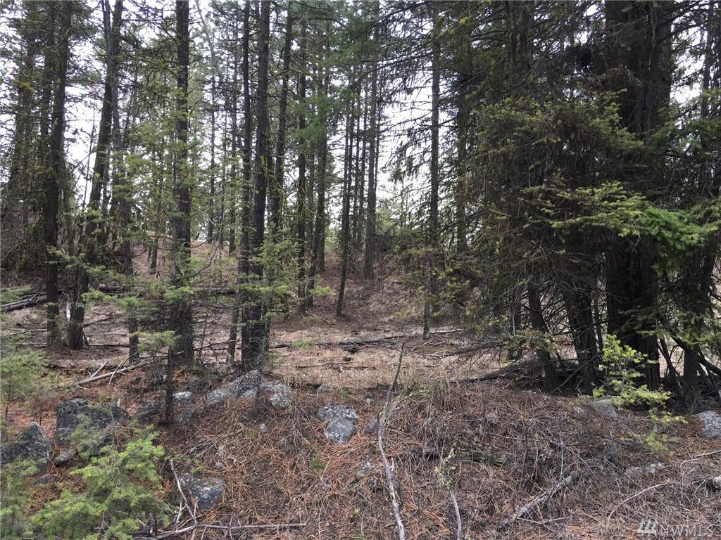 1065-Lot Fs 3525 Rd - Photo 1