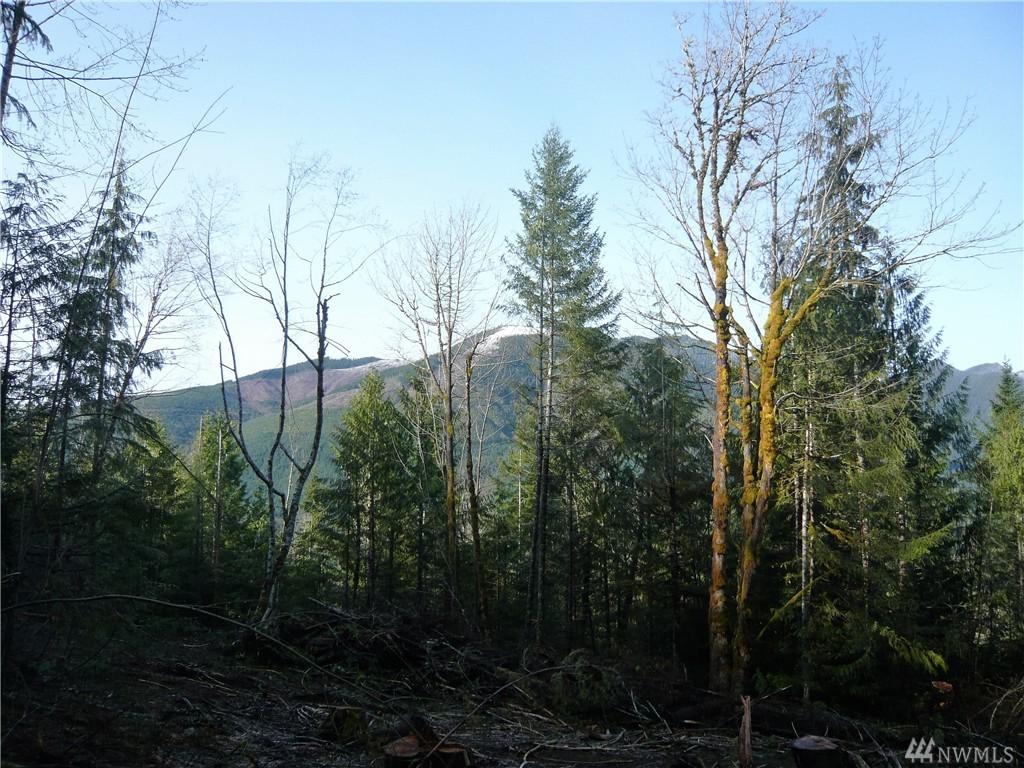 0 Dosewallips Rd - Photo 1