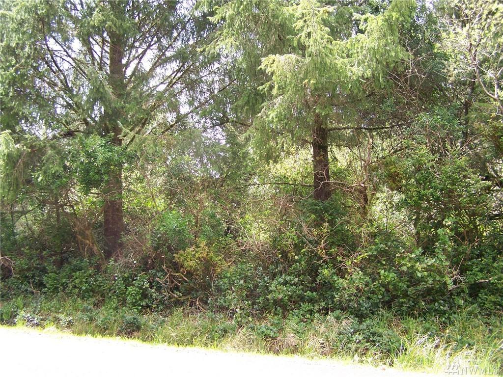 437 Centaurus Ave - Photo 1