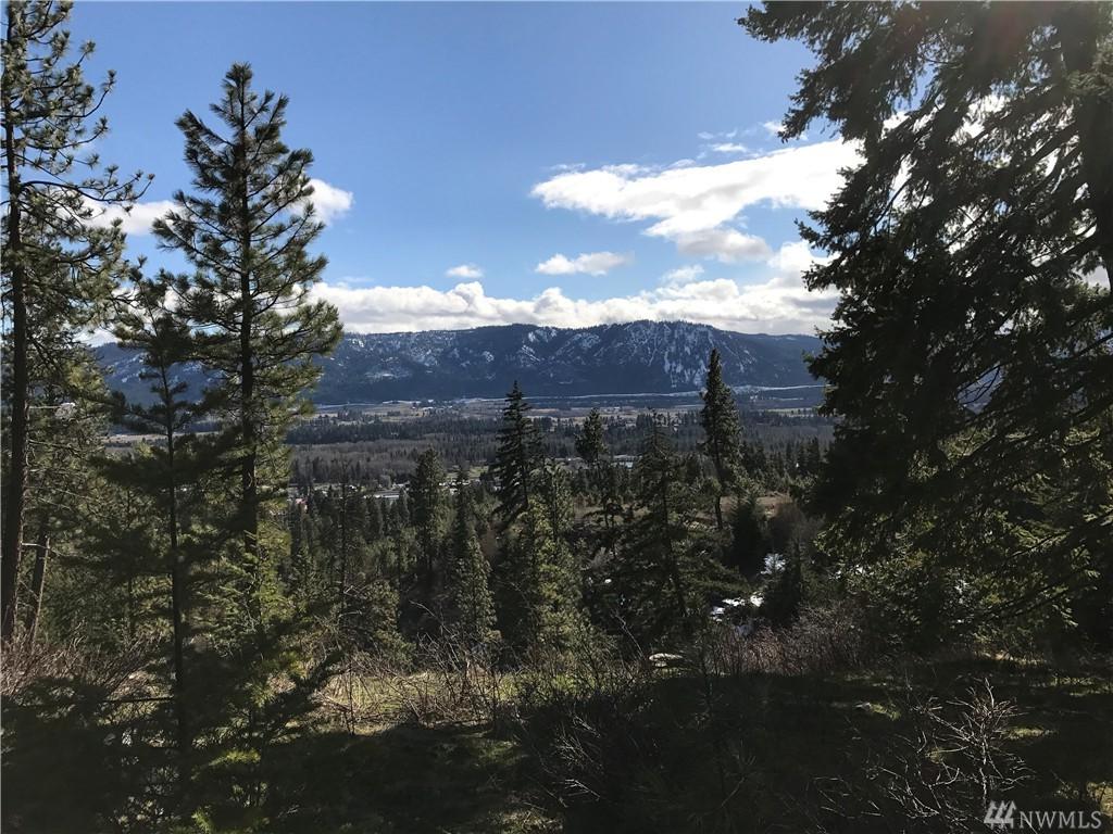 0-XXX Forest Ridge Drive - Photo 1