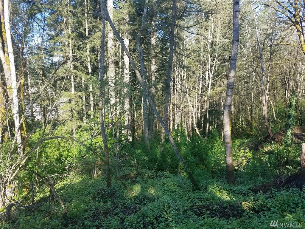 14045 169th Ave - Photo 1