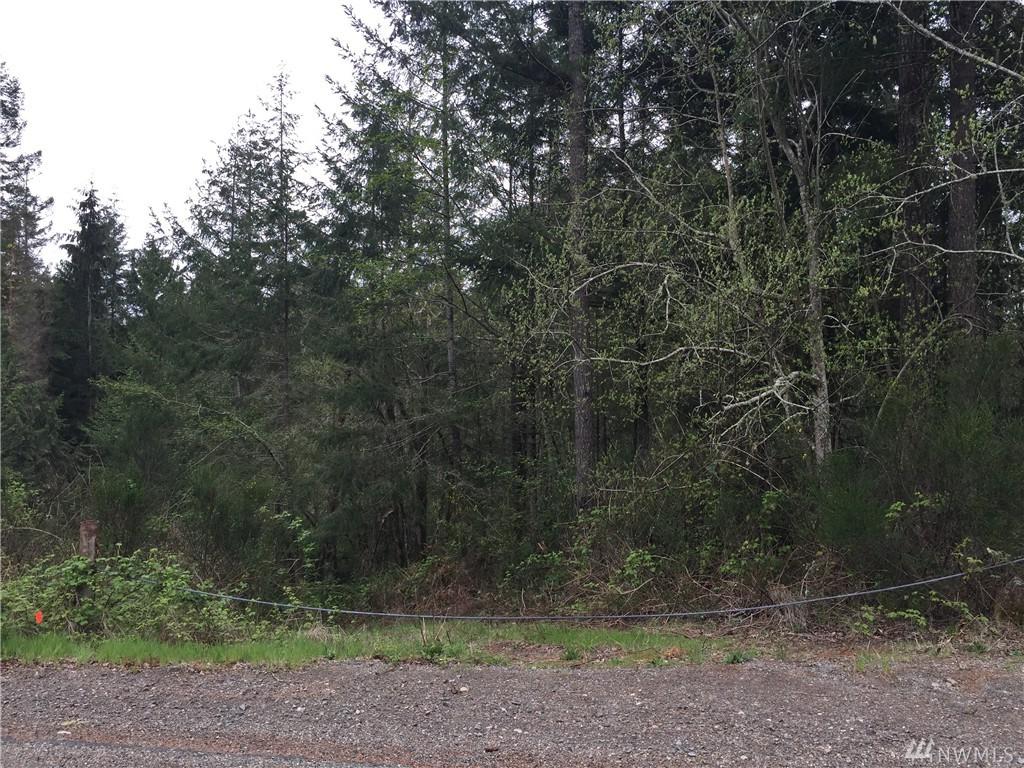 0 Lester Rd - Photo 1