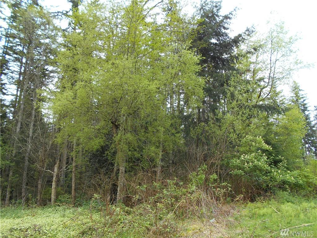 3709 12th St - Photo 1
