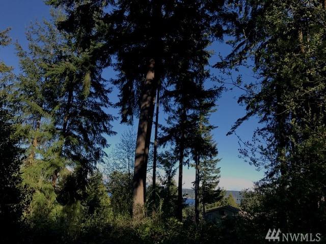 999 Windship Dr - Photo 1