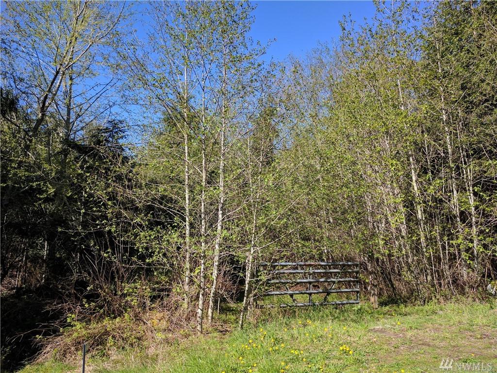 9999 Schmidt Rd - Photo 1
