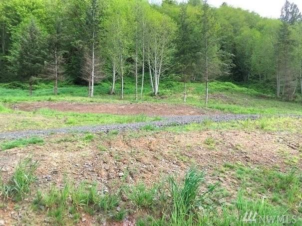 283 Lot 4 Risk Road - Photo 1