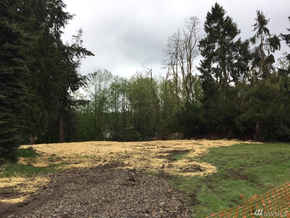 29016 Military Rd - Photo 1