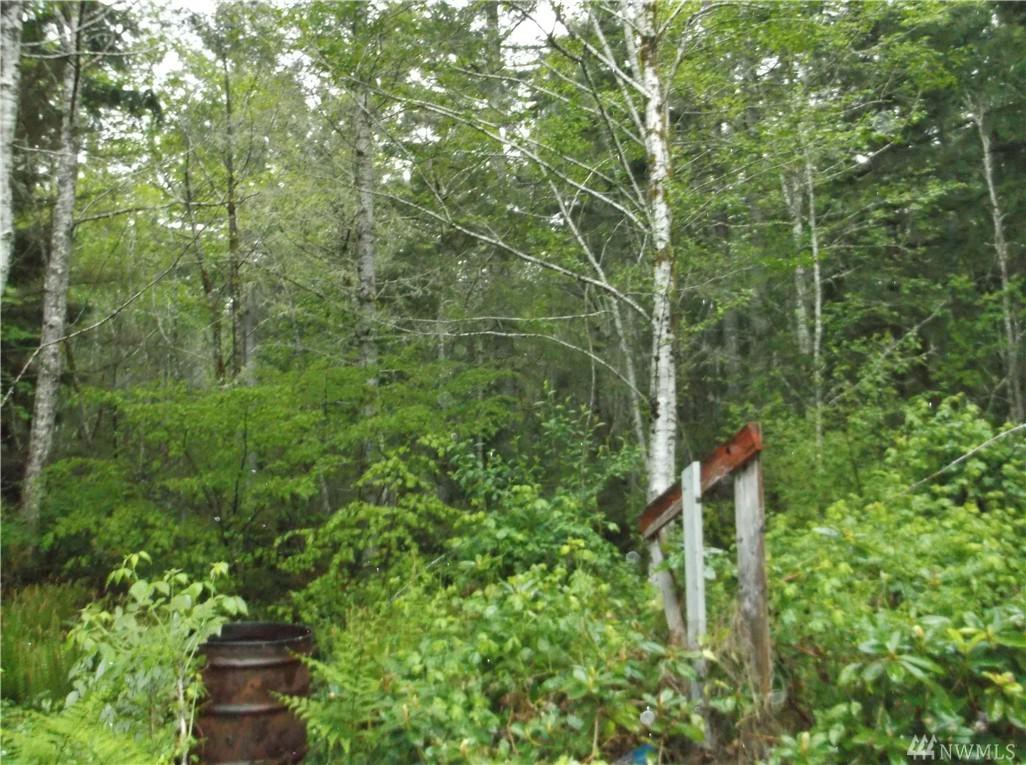 0 Tolkien Ln West - Photo 1