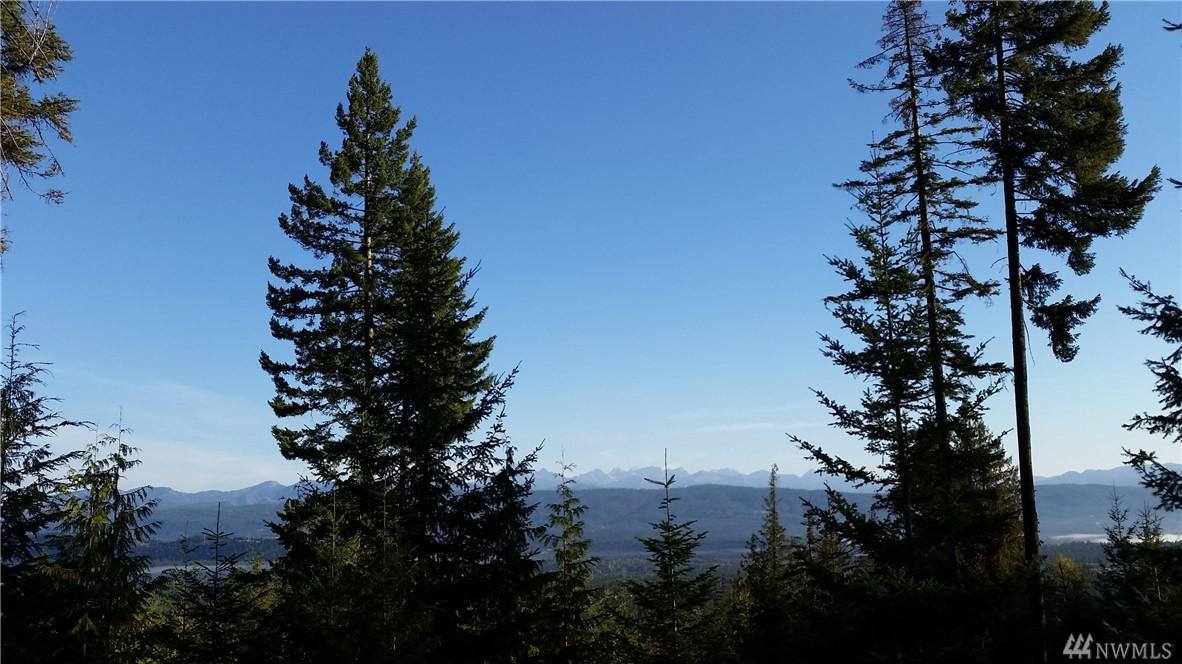 1090-(Lot 50) Trailside Dr - Photo 1