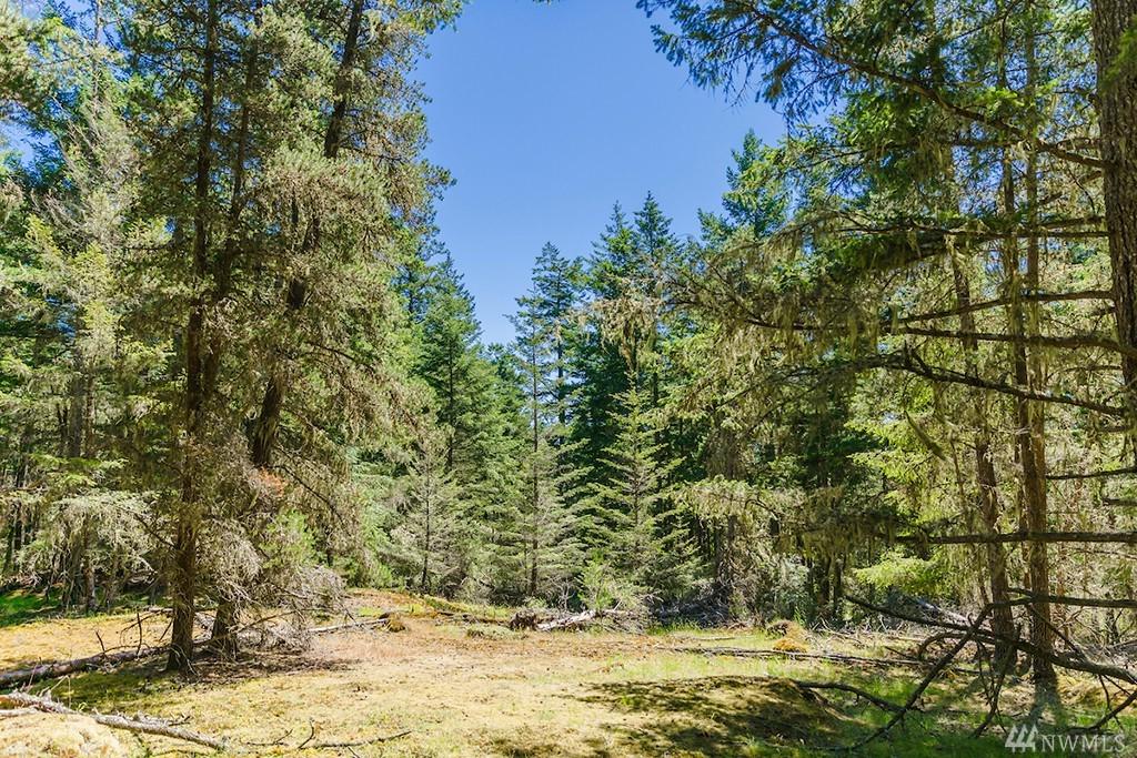 0 Xx Guthrie Cove Rd - Photo 1