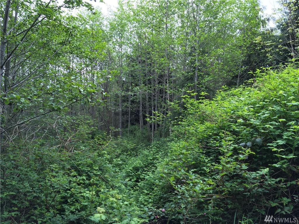 0-NNA Highway 101 - Photo 1