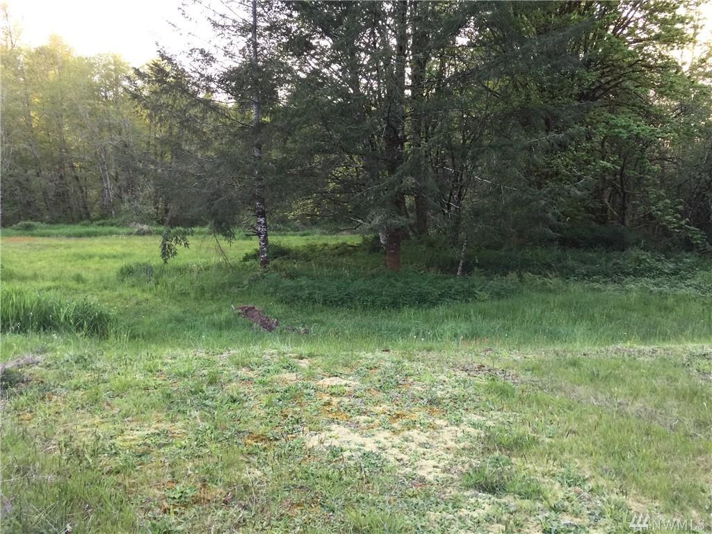 135 Cloquallum Rd - Photo 1