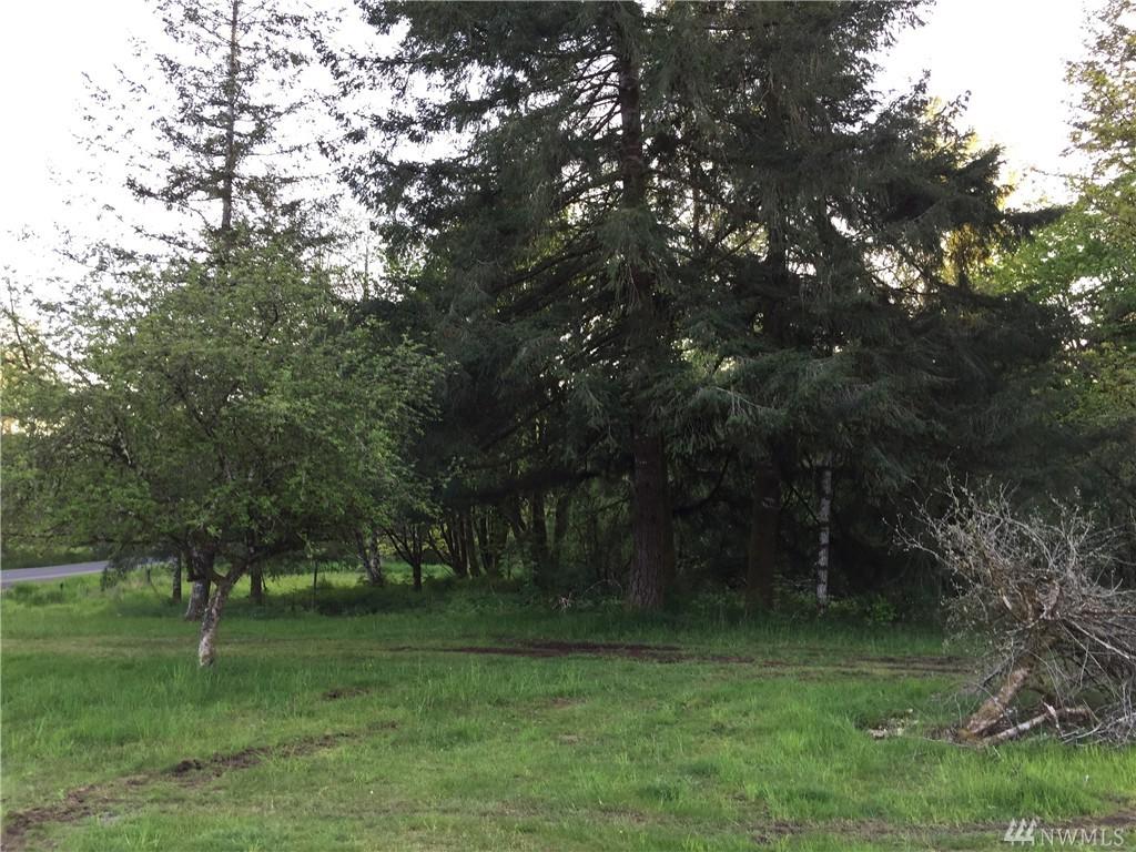 137 Cloquallum Rd - Photo 1
