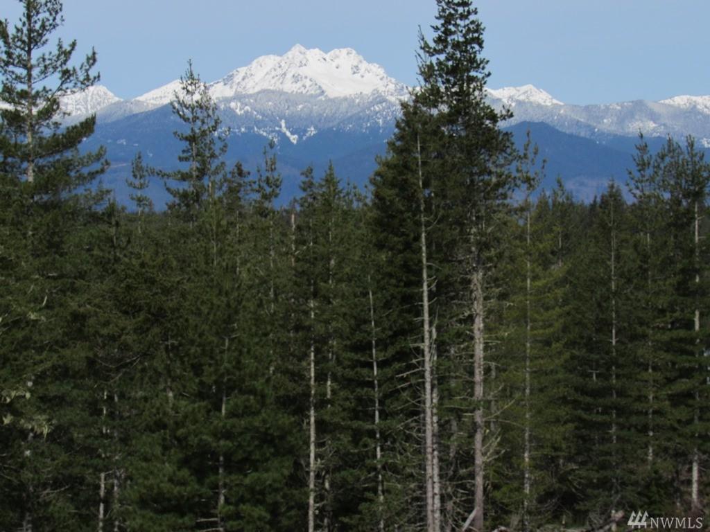 1-NHN Camp Sundown Rd - Photo 1