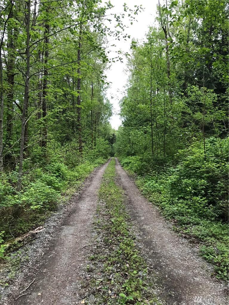 21668 Grip Rd - Photo 1