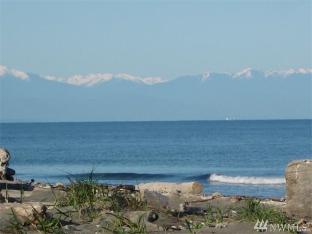 448-x Moran Beach Lane - Photo 1