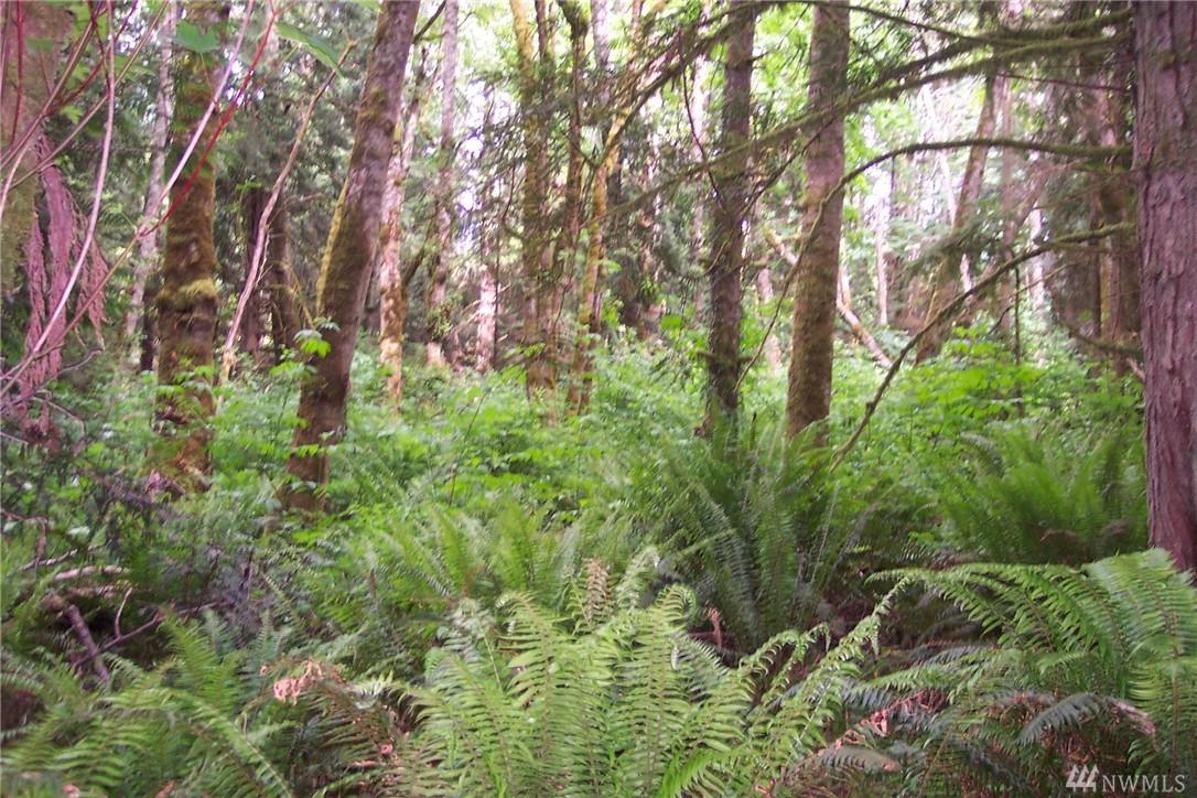 3-Lot B Highway 3 - Photo 1