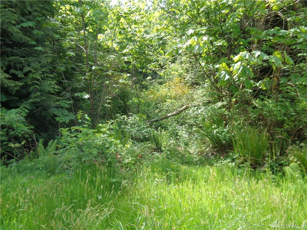 5070 Mullenix Rd - Photo 1