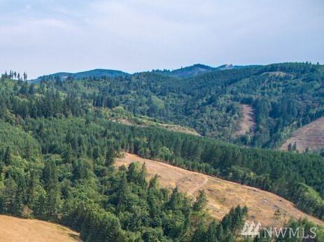 0 Little Kalama River Rd - Photo 1