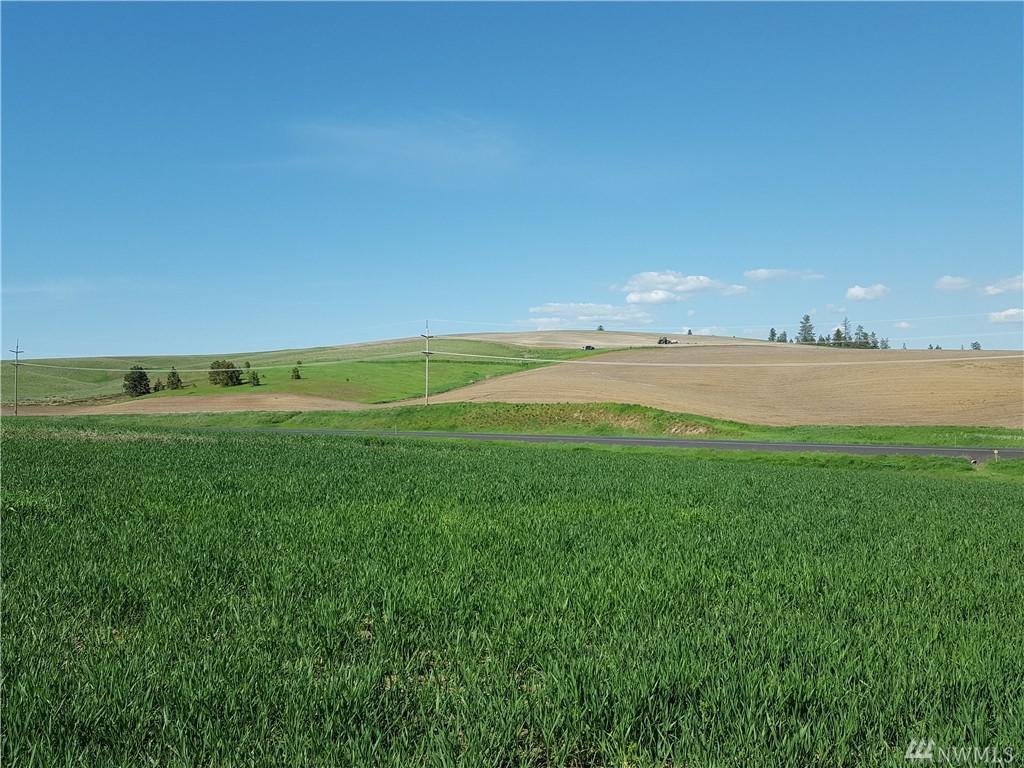 1 Hwy 25 - Photo 1