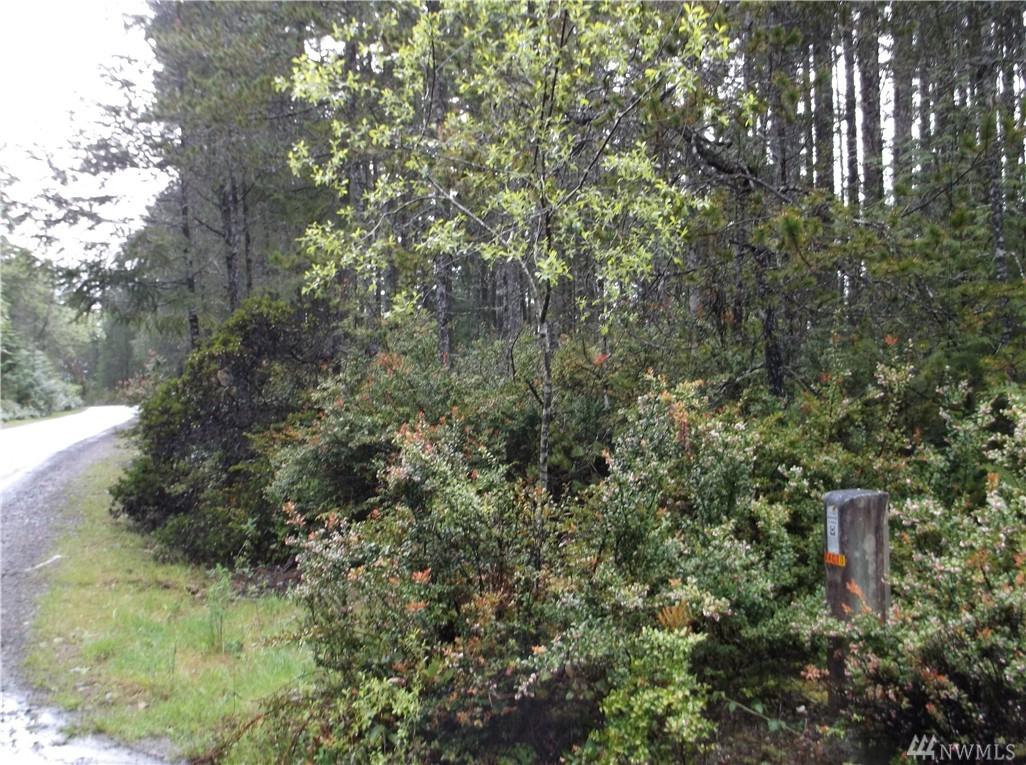 111-xxx Timber Tides Dr - Photo 1