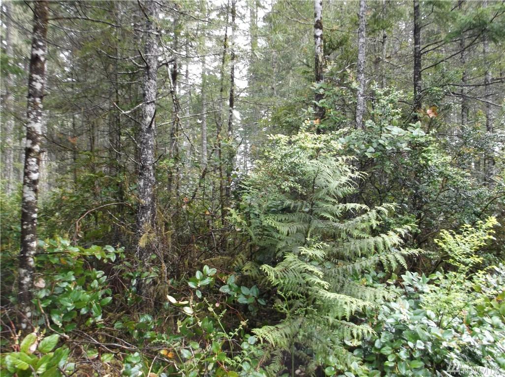 1111-xxx Timber Tides Dr. - Photo 1