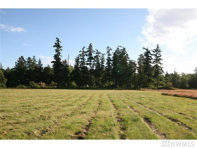 0-Lot 3 Guemes Island Rd - Photo 1
