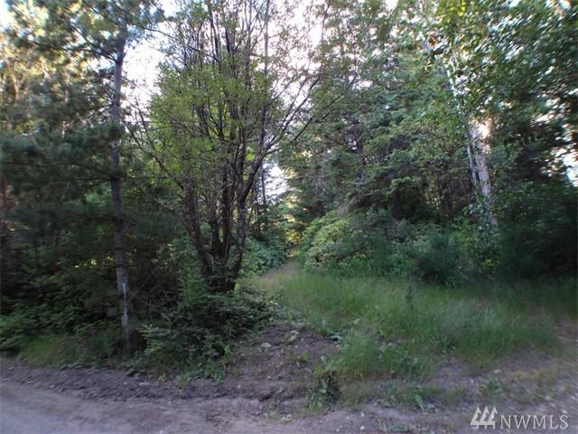2483 Lost Creek Lane - Photo 1