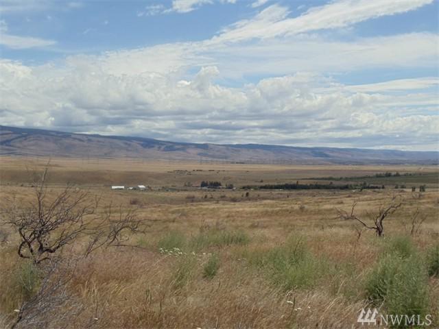 1-Lot B-1 Ellensburg Ranches Rd - Photo 1