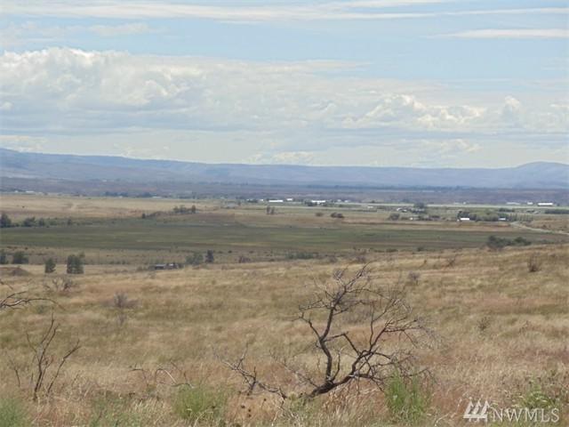 2-Lot B-2 Ellensburg Ranches Rd - Photo 1