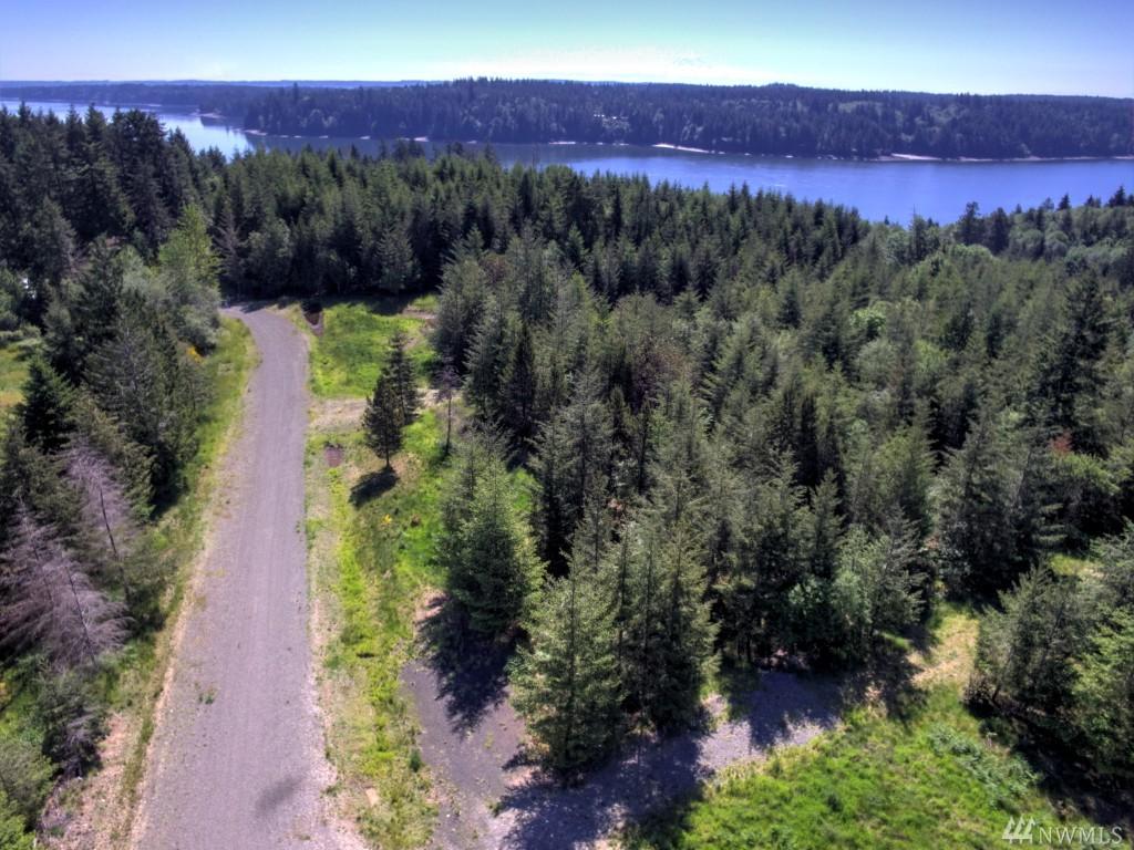 50-Lot 5 Cottonwood Dr - Photo 1