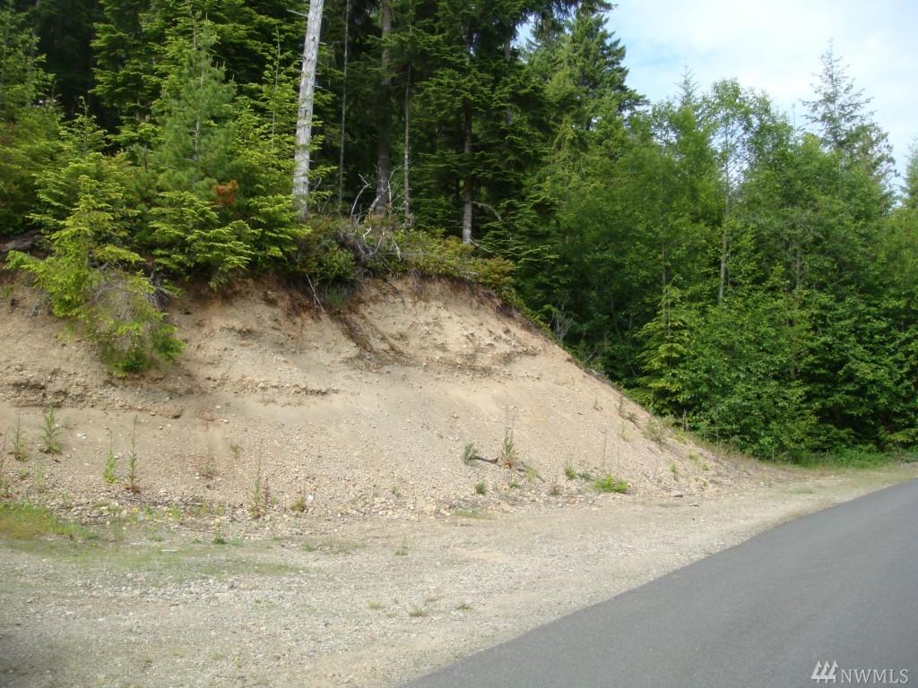 413 Hamma Ridge Dr - Photo 1