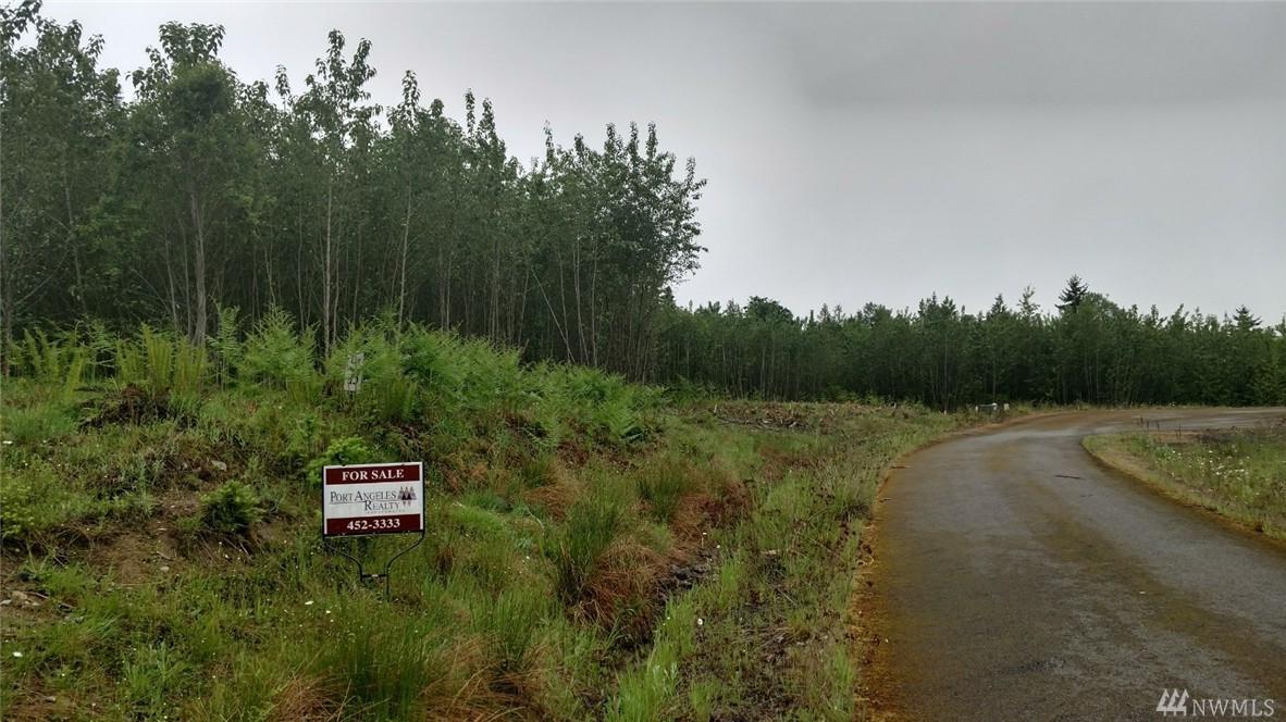 9999 Grand Ridge Way, Lot 13 - Photo 1