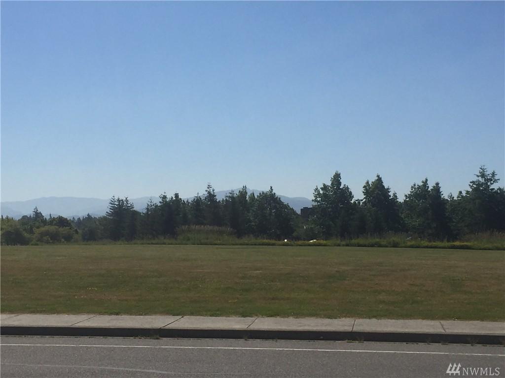 0 Cordata Pkwy - Photo 1