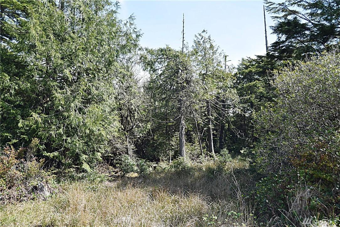 2 Cooper - Photo 1